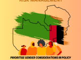 Promote Inclusive Disaster Risk Management