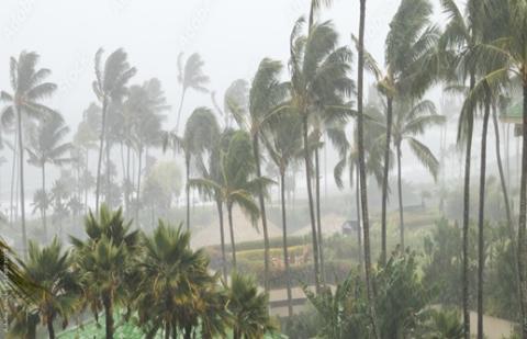  Madagascar, Payout, Tropical Cyclone Freddy
