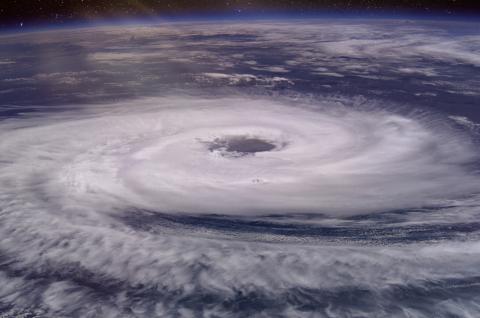 tropical cyclone insurance