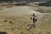 ARC-Climate-Resilience-data
